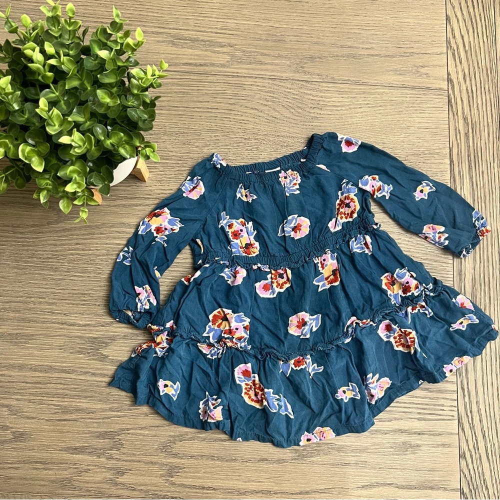 Carters Moody Floral Dress 18m